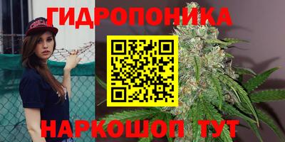 гашик Татарск