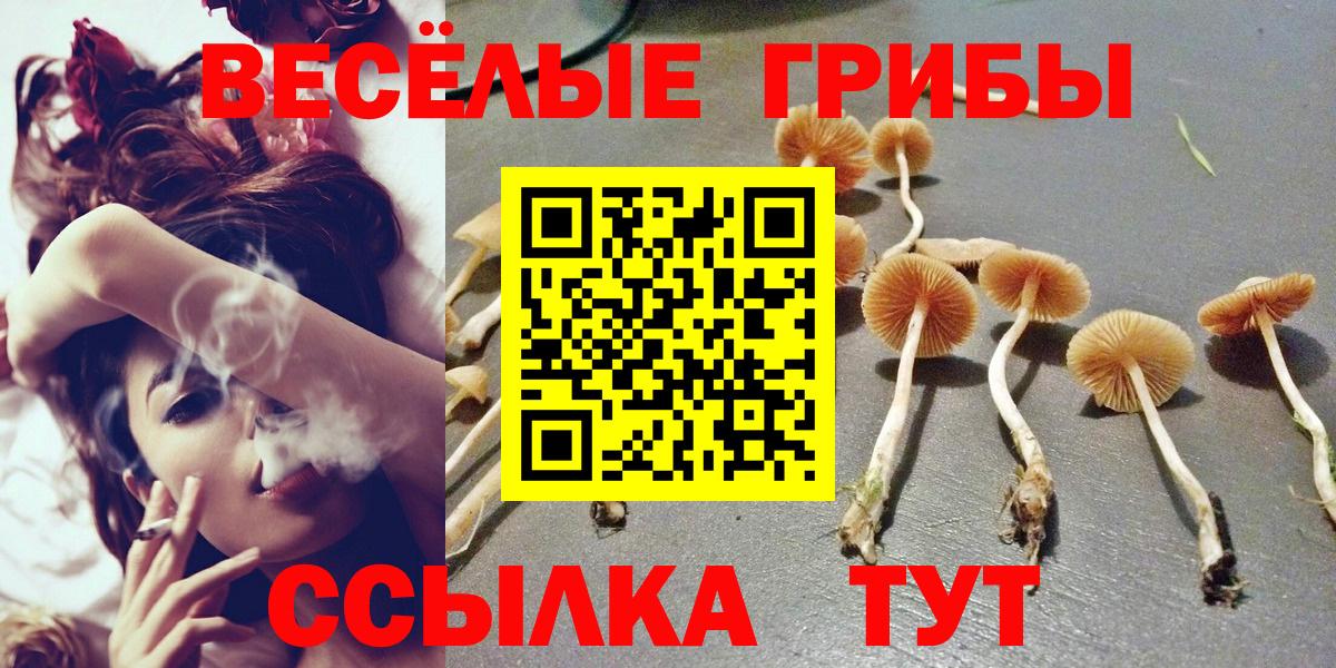 Галлюциногенные грибы GOLDEN TEACHER  где найти   Псилоцибиновые грибы мухоморы  Нижний Новгород  Вход с VPN 