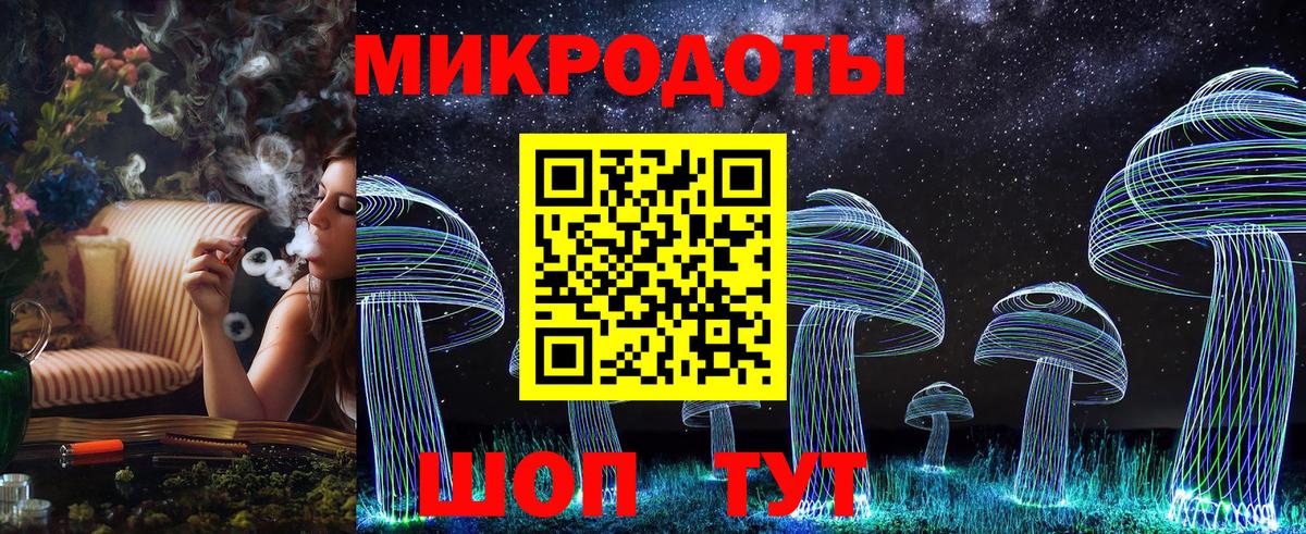 Галлюциногенные грибы Psilocybine cubensis Нижний Новгород